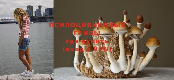 прущая мука Балахна