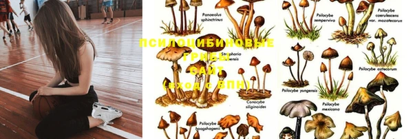 а пвп мука Баксан