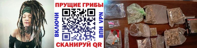 Псилоцибиновые грибы мухоморы Калининец